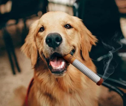 Sjov Plysdyr Hundelegetøj – Cigaret Design