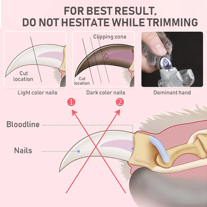 Negleklipper til Kæledyr med LED-lys