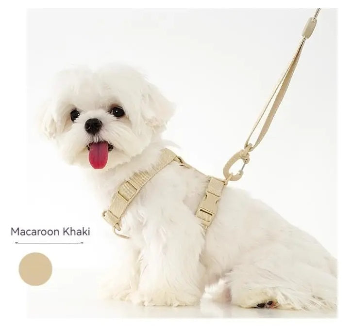 Justerbart Sele- og Snorsæt til Hunde og Katte