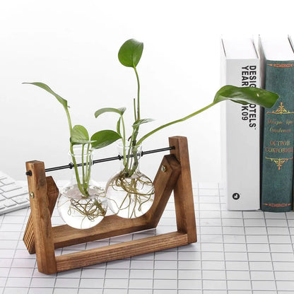 Glasterrarium med Træramme til Planter