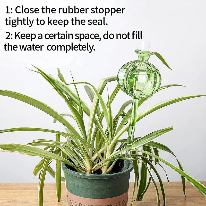 Glas Plante Vandingskugle Dryppesystem