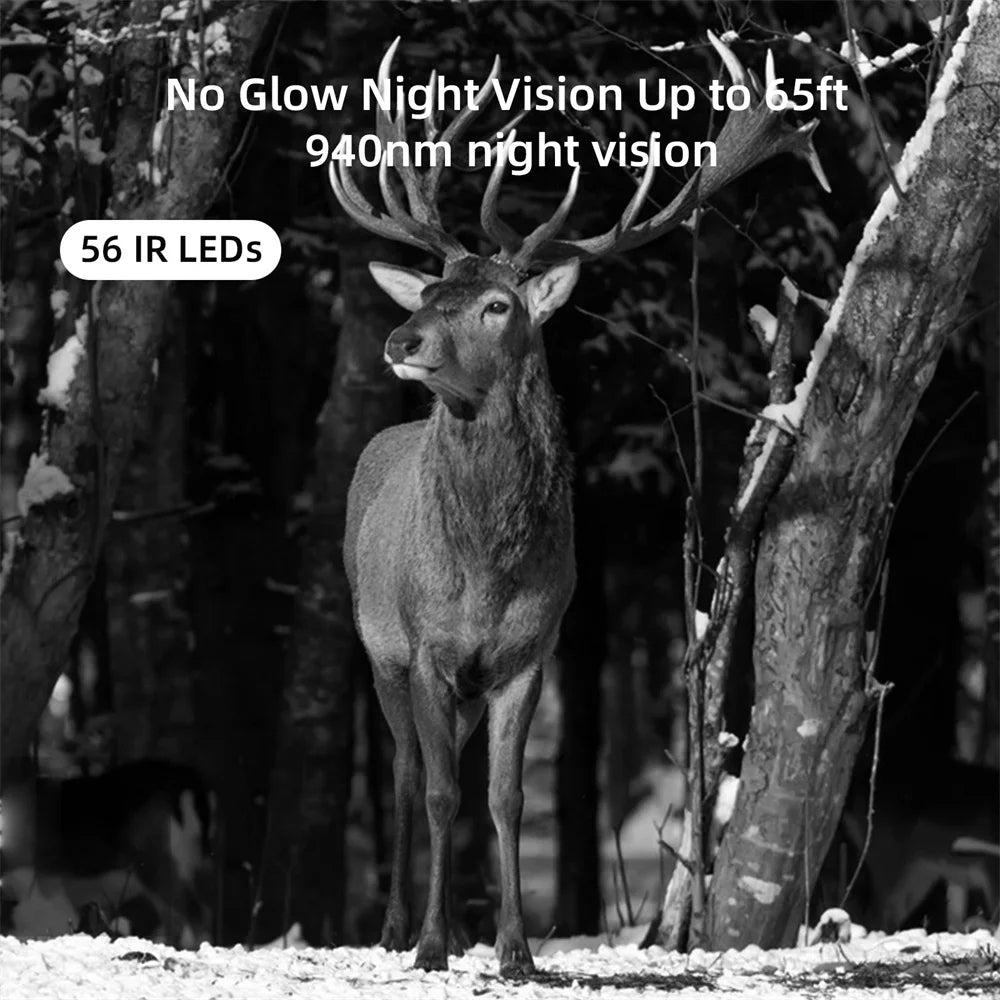 4G Vildtkamera 50MP 4K HD med Natvision