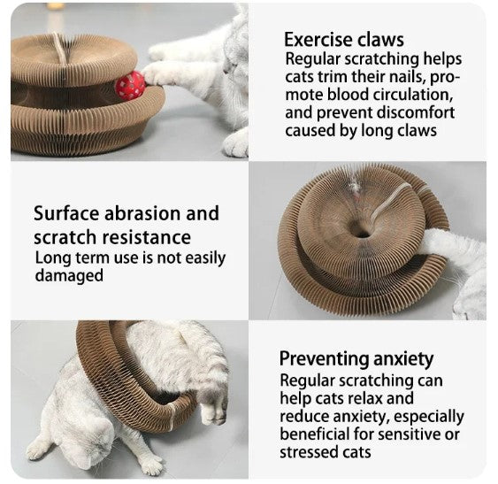 Kradsebræt til Katteklo med Bold