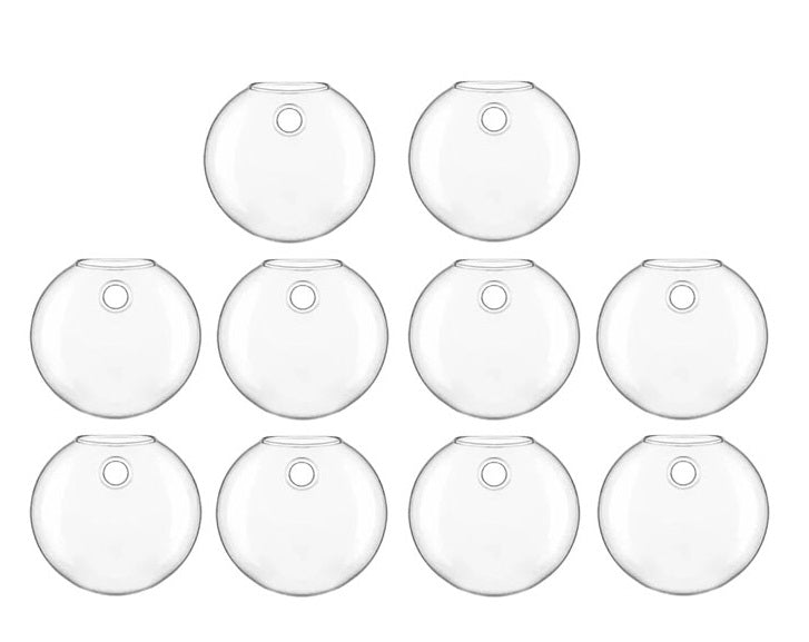 Vægophængt Glas Terrarium Plantesæt
