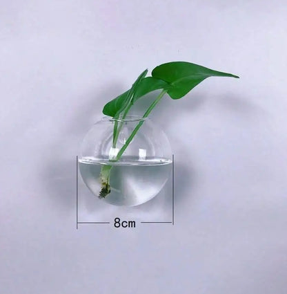 Vægophængt Glas Terrarium Plantesæt