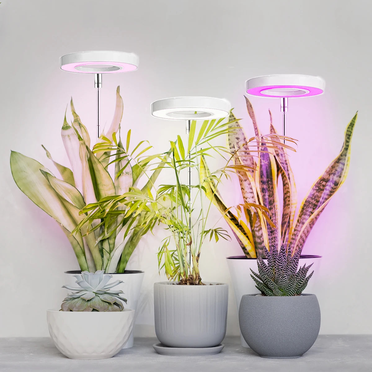 Fuldspektret LED-plantevækstlys til Indendørs Planter