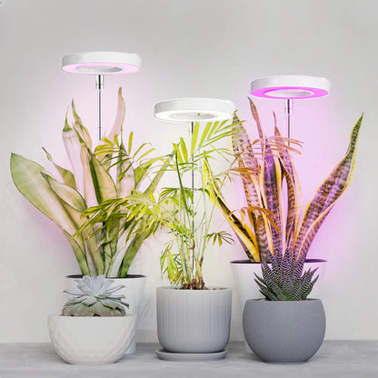 Fuldspektret LED-plantevækstlys til Indendørs Planter
